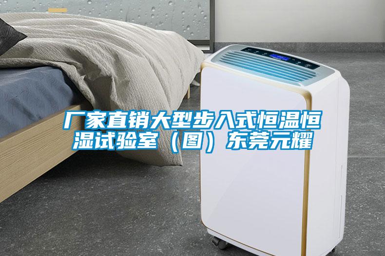 廠家直銷大型步入式恒溫恒濕試驗(yàn)室(圖)東莞元耀