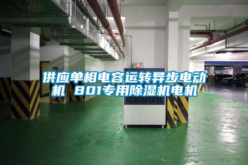 供應單相電容運轉異步電動機 801專用除濕機電機