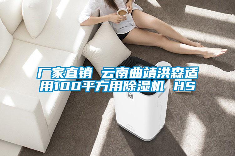 廠家直銷 云南曲靖洪森適用100平方用除濕機 HS