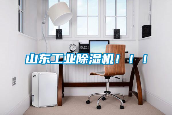 山東工業除濕機?。。?/></p>
						    <p style=