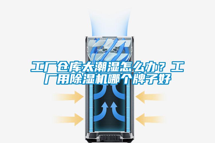 工廠倉庫太潮濕怎么辦？工廠用除濕機哪個牌子好