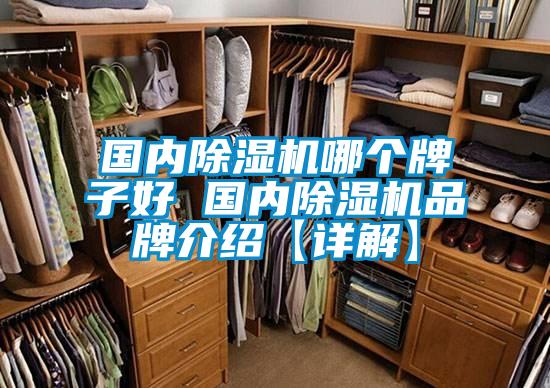 國內除濕機哪個牌子好 國內除濕機品牌介紹【詳解】