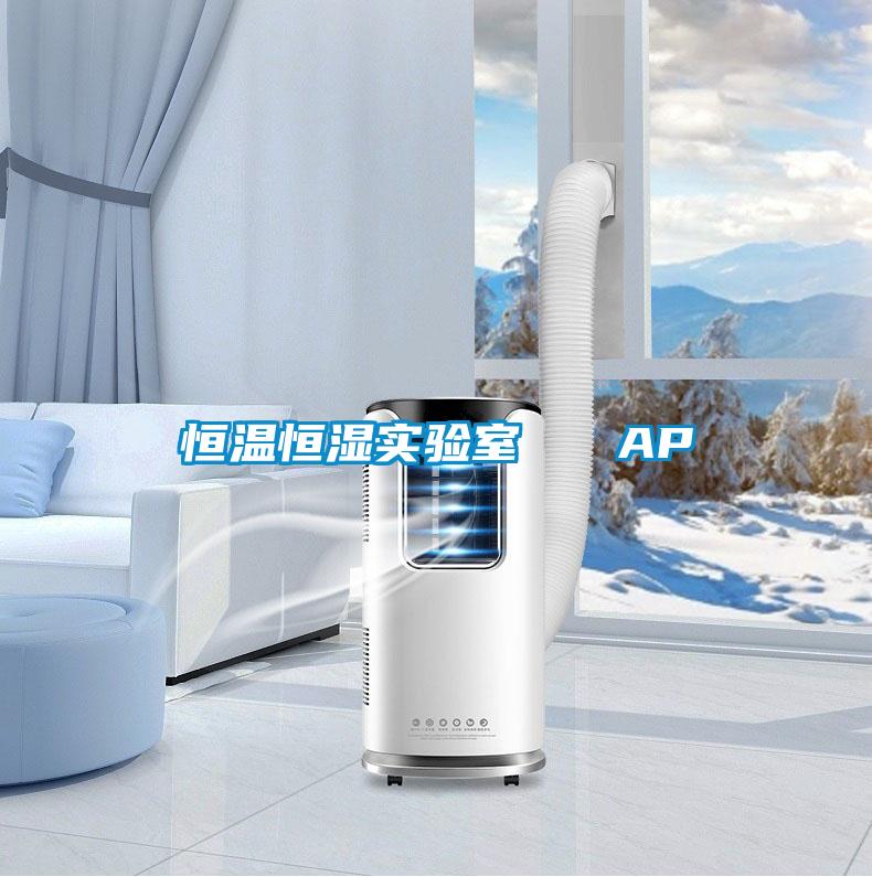 恒溫恒濕實(shí)驗(yàn)室 AP