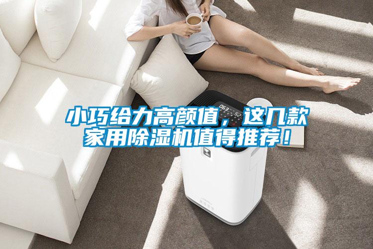 小巧給力高顏值，這幾款家用除濕機值得推薦！