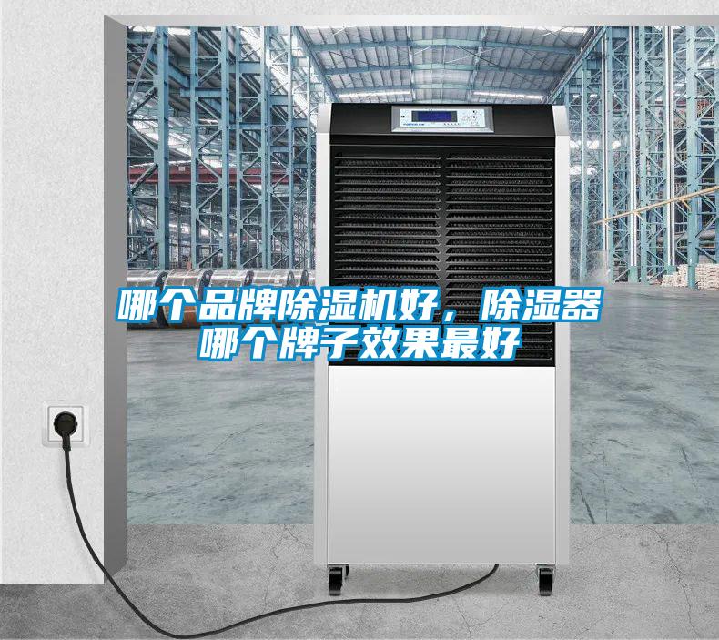 哪個品牌除濕機好,除濕器哪個牌子效果最好