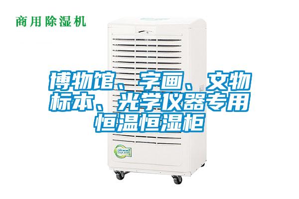 博物館、字畫、文物標本、光學儀器專用恒溫恒濕柜