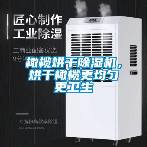橄欖烘干除濕機，烘干橄欖更均勻更衛生