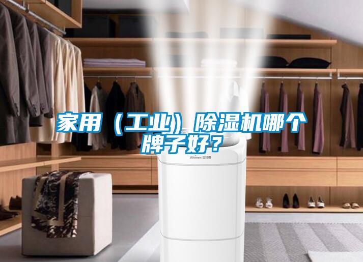 家用（工業）除濕機哪個牌子好？