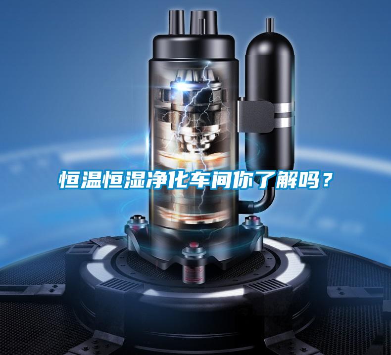 恒溫恒濕凈化車間你了解嗎?