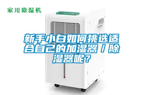 新手小白如何挑選適合自己的加濕器／除濕器呢？