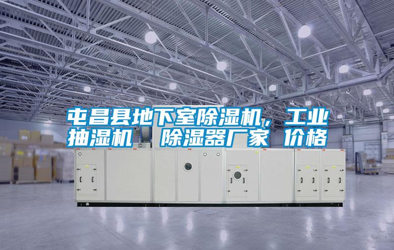 屯昌縣地下室除濕機(jī)，工業(yè)抽濕機(jī)  除濕器廠家 價(jià)格