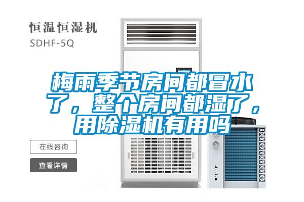 梅雨季節房間都冒水了，整個房間都濕了，用除濕機有用嗎
