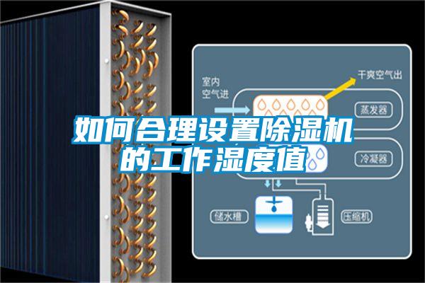 如何合理設(shè)置除濕機的工作濕度值