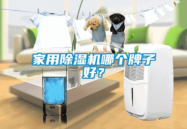 家用除濕機哪個牌子好？