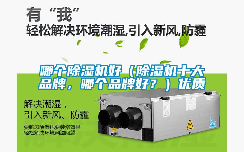哪個除濕機好（除濕機十大品牌，哪個品牌好？）優質