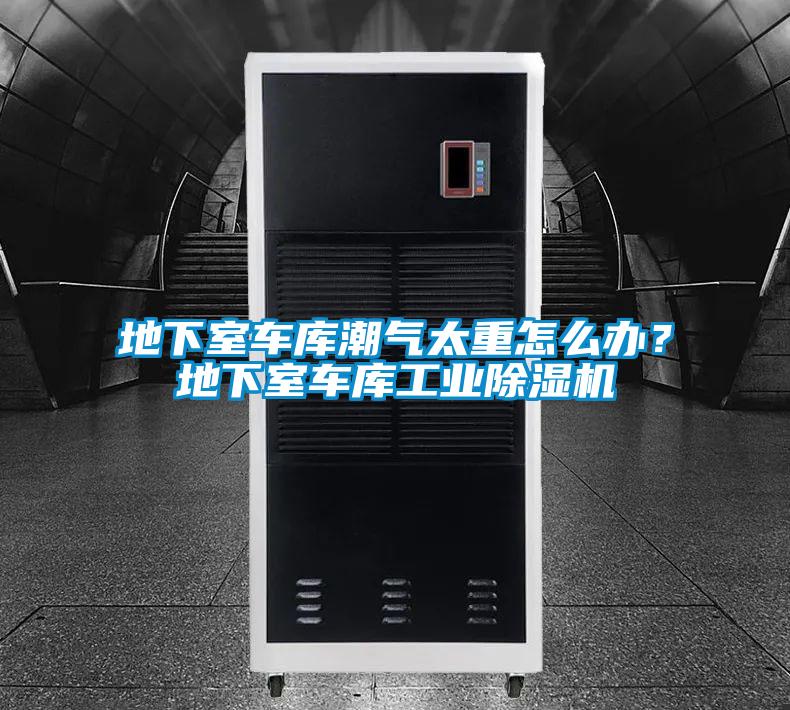 地下室車庫潮氣太重怎么辦?地下室車庫工業(yè)除濕機