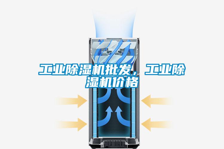 工業(yè)除濕機批發(fā)，工業(yè)除濕機價格