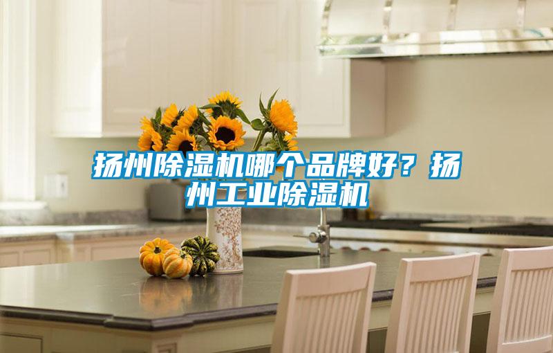 揚州除濕機哪個品牌好？揚州工業除濕機