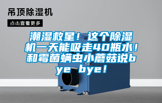 潮濕救星！這個除濕機一天能吸走40瓶水！和霉菌螨蟲小蘑菇說bye bye！