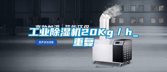 工業(yè)除濕機20Kg/h_重復