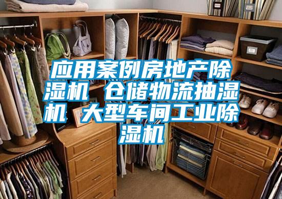 應(yīng)用案例房地產(chǎn)除濕機 倉儲物流抽濕機 大型車間工業(yè)除濕機