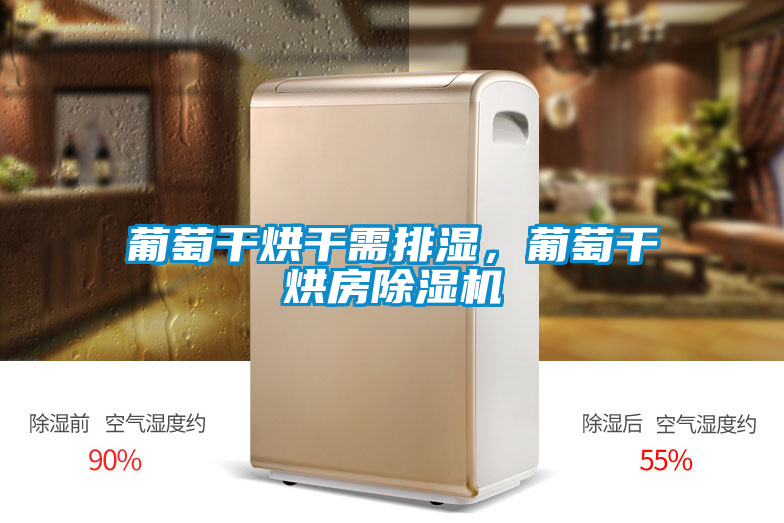 葡萄干烘干需排濕，葡萄干烘房除濕機(jī)