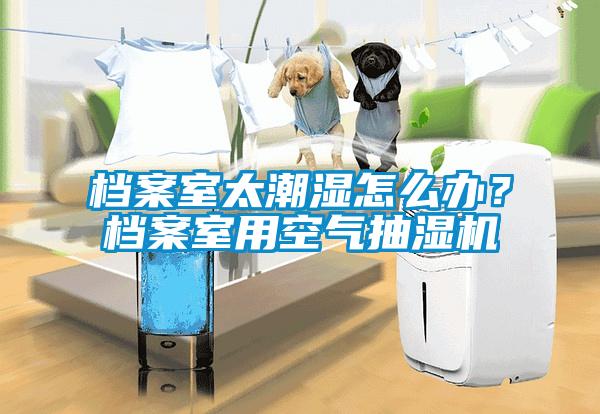 檔案室太潮濕怎么辦？檔案室用空氣抽濕機(jī)