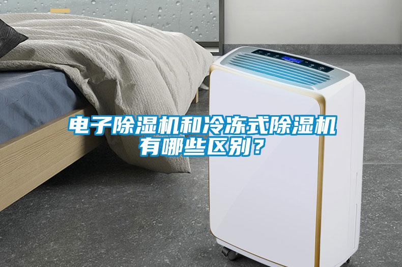 電子除濕機(jī)和冷凍式除濕機(jī)有哪些區(qū)別？