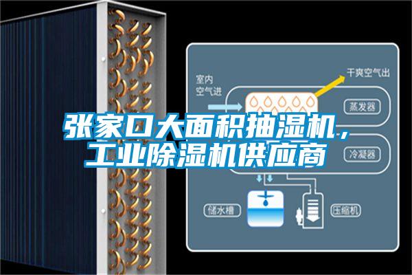 張家口大面積抽濕機，工業除濕機供應商