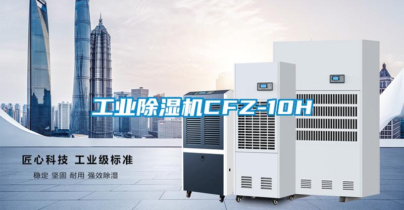工業(yè)除濕機(jī)CFZ-10H