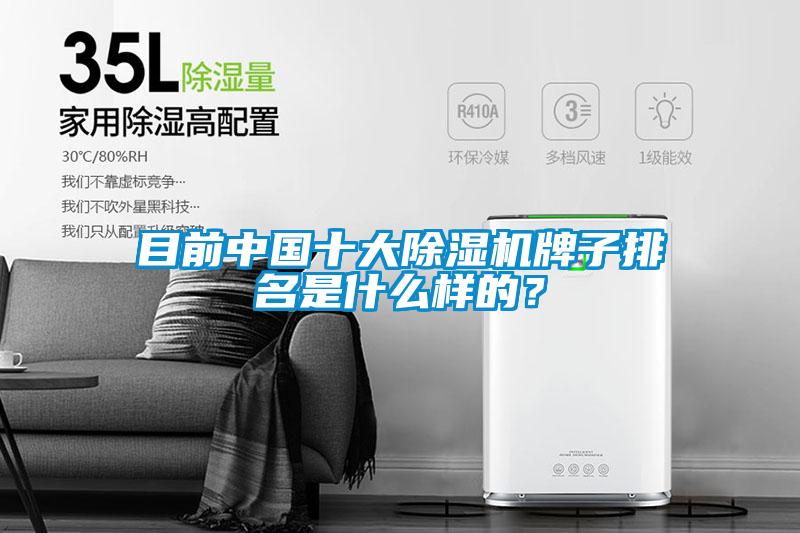 目前中國(guó)十大除濕機(jī)牌子排名是什么樣的?