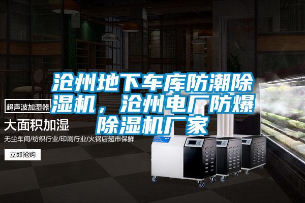 滄州地下車庫(kù)防潮除濕機(jī)，滄州電廠防爆除濕機(jī)廠家