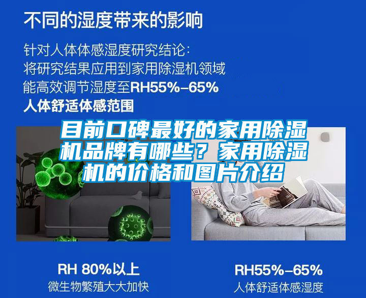 目前口碑最好的家用除濕機品牌有哪些？家用除濕機的價格和圖片介紹