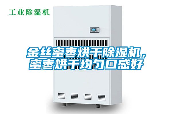 金絲蜜棗烘干除濕機(jī),蜜棗烘干均勻口感好