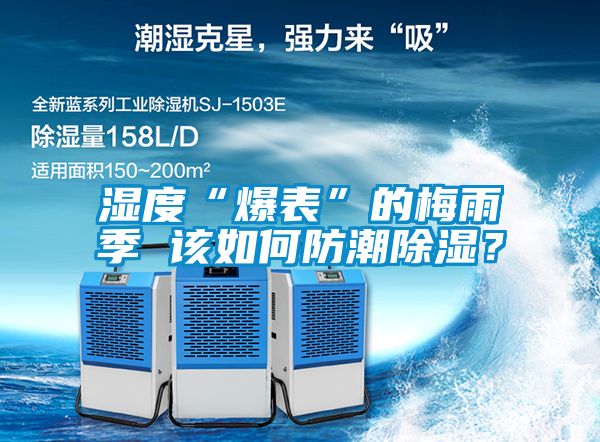 濕度“爆表”的梅雨季 該如何防潮除濕？