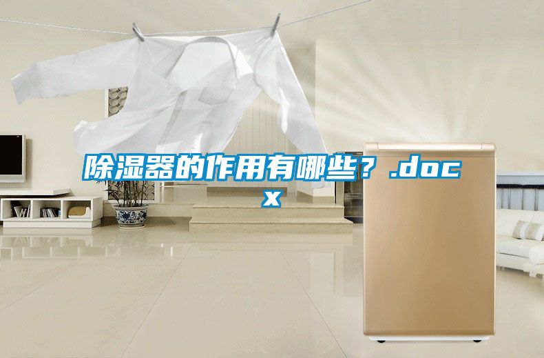 除濕器的作用有哪些？.docx