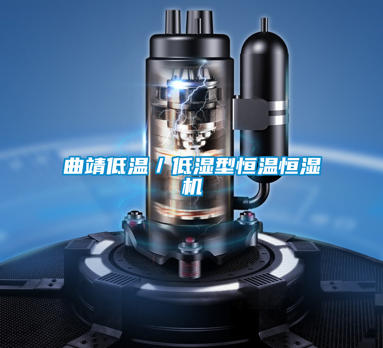 曲靖低溫／低濕型恒溫恒濕機