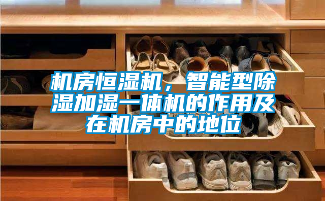 機(jī)房恒濕機(jī),智能型除濕加濕一體機(jī)的作用及在機(jī)房中的地位