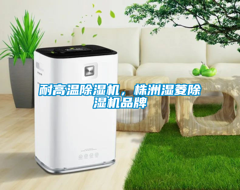 耐高溫除濕機，株洲濕菱除濕機品牌