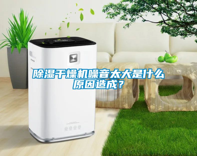 除濕干燥機噪音太大是什么原因造成?
