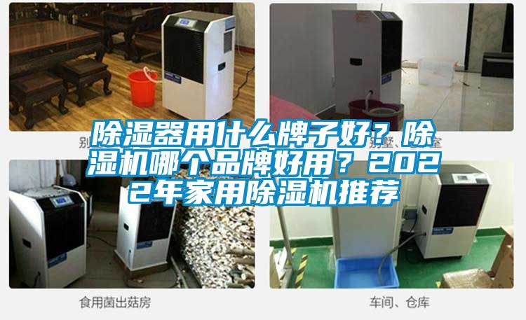 除濕器用什么牌子好？除濕機哪個品牌好用？2022年家用除濕機推薦