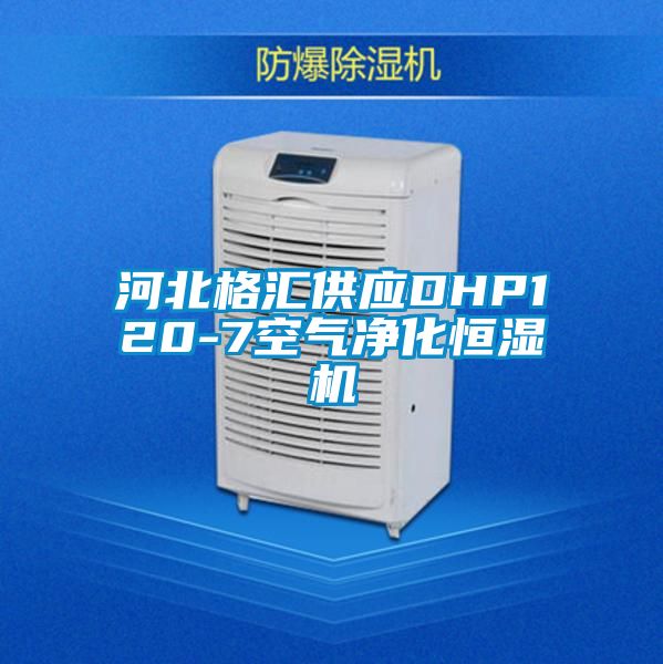 河北格匯供應(yīng)DHP120-7空氣凈化恒濕機