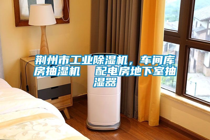 荊州市工業除濕機，車間庫房抽濕機  配電房地下室抽濕器