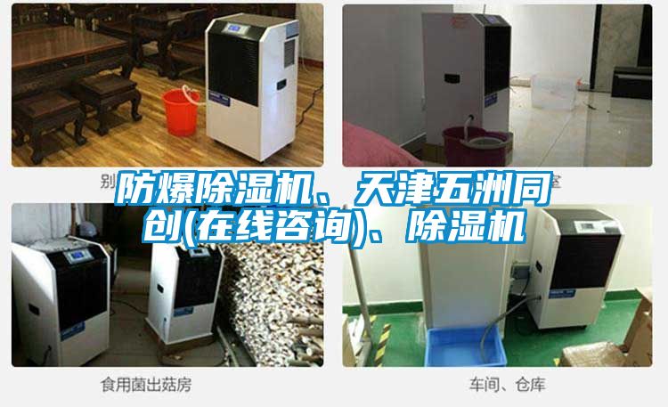 防爆除濕機、天津五洲同創(在線咨詢)、除濕機