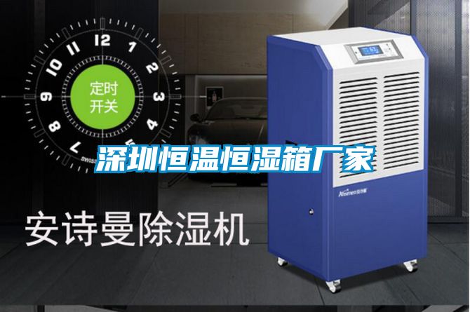 深圳恒溫恒濕箱廠(chǎng)家