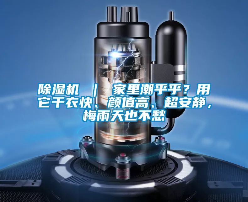 除濕機 ｜ 家里潮乎乎？用它干衣快、顏值高、超安靜，梅雨天也不愁