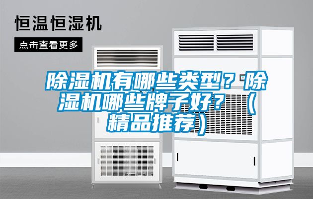 除濕機有哪些類型？除濕機哪些牌子好？（精品推薦）