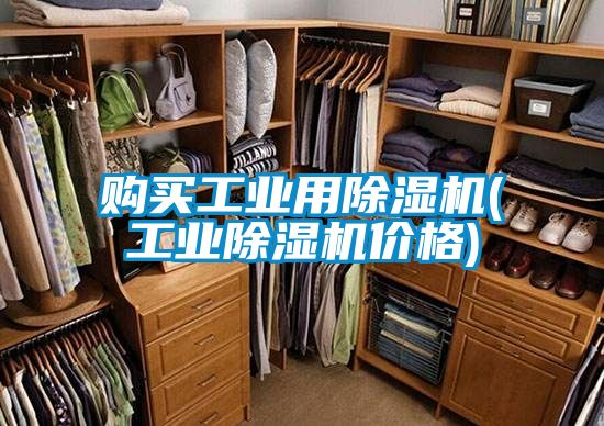 購(gòu)買工業(yè)用除濕機(jī)(工業(yè)除濕機(jī)價(jià)格)