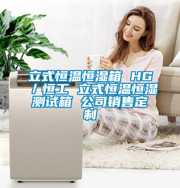 立式恒溫恒濕箱 HG／恒工 立式恒溫恒濕測(cè)試箱 公司銷(xiāo)售定制
