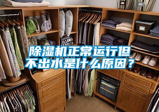 除濕機(jī)正常運(yùn)行但不出水是什么原因？